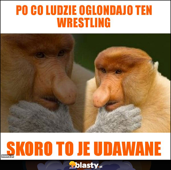 Po co ludzie oglondajo ten wrestling