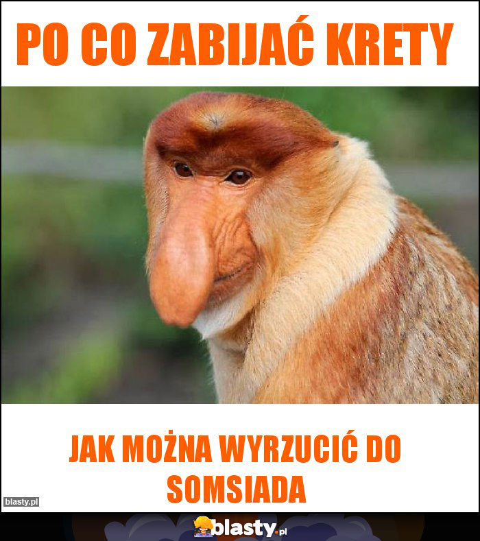 Po co zabijać krety Po co zabijać krety