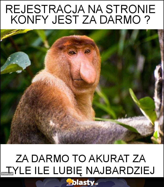 Rejestracja na stronie konfy jest za darmo ? Rejestracja na stronie konfy jest za darmo ?