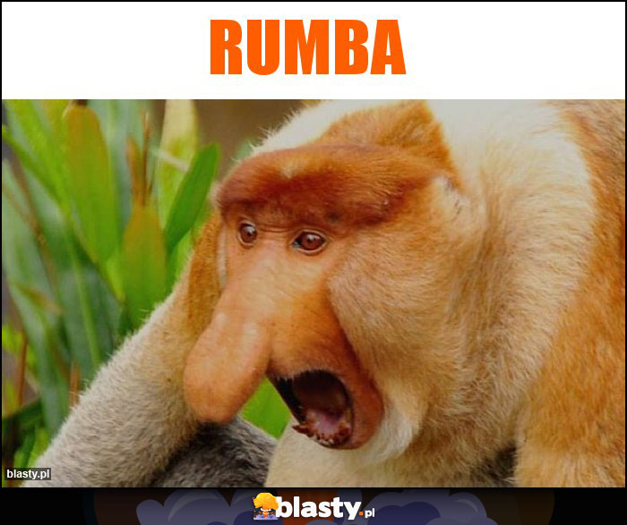 Rumba