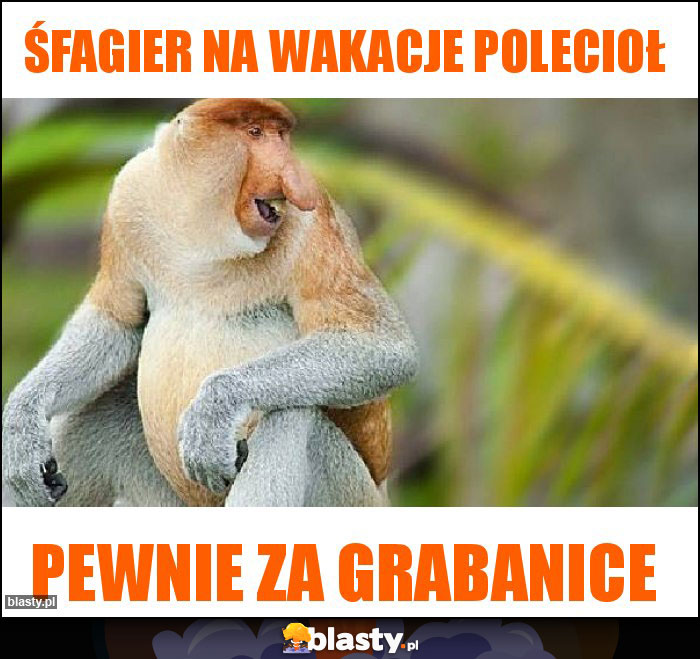 Śfagier na wakacje polecioł Śfagier na wakacje polecioł