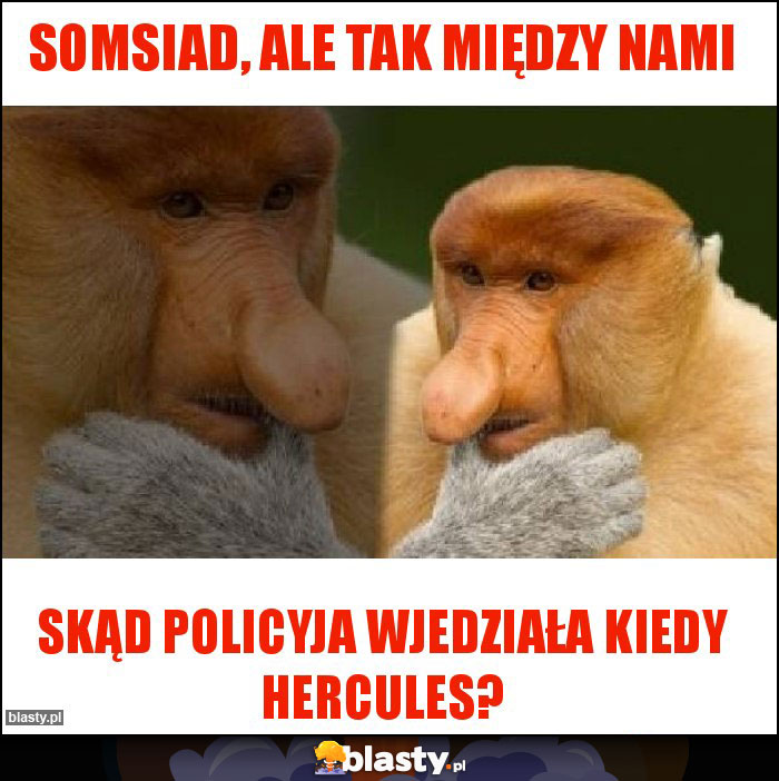 SOMSIAD, ALE TAK MIĘDZY NAMI SOMSIAD, ALE TAK MIĘDZY NAMI