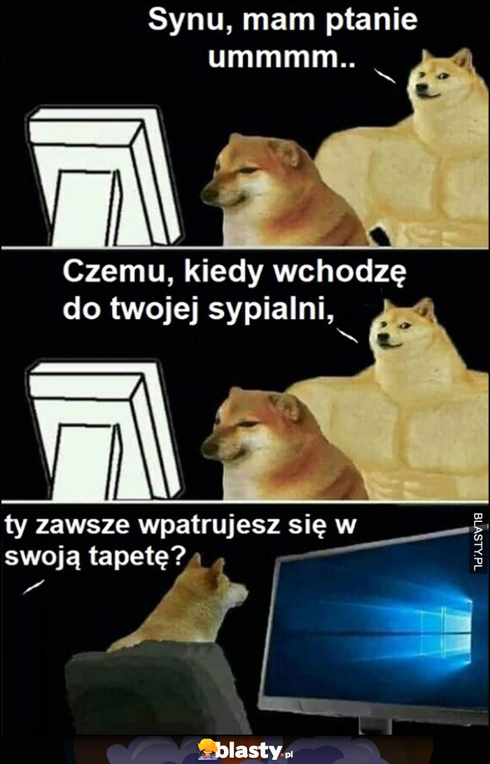 Synu mam pytanie, czemu kiedy wchodzę do twojej sypialni ty zawsze wpatrujesz się w tapetę? Pieseł doge