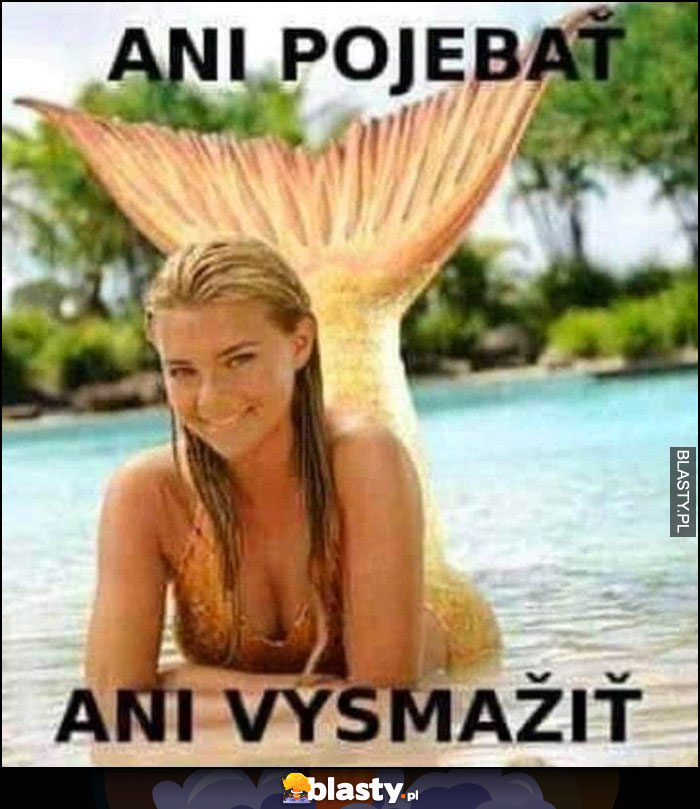 Syrenka ani nie poruszasz ani nie usmażysz czeskie memy