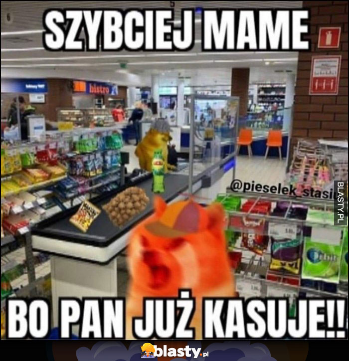 Szybciej mame bo pan już skanuje produkty w sklepie pies pieseł doge