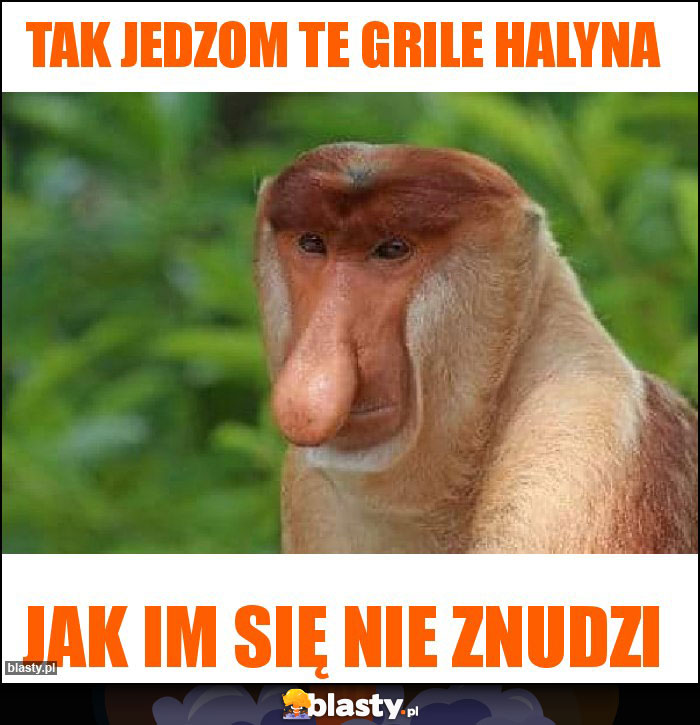 Tak jedzom te grile halyna Tak jedzom te grile halyna