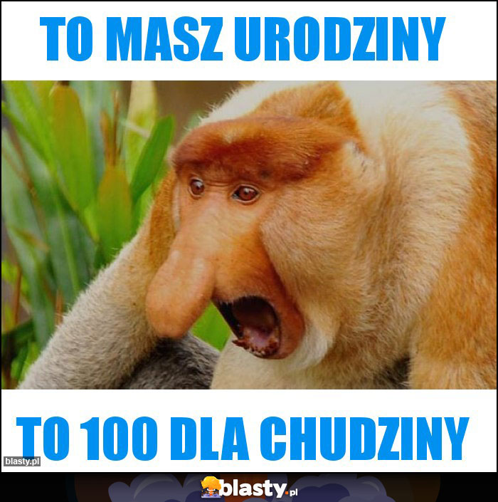 To masz urodziny To masz urodziny