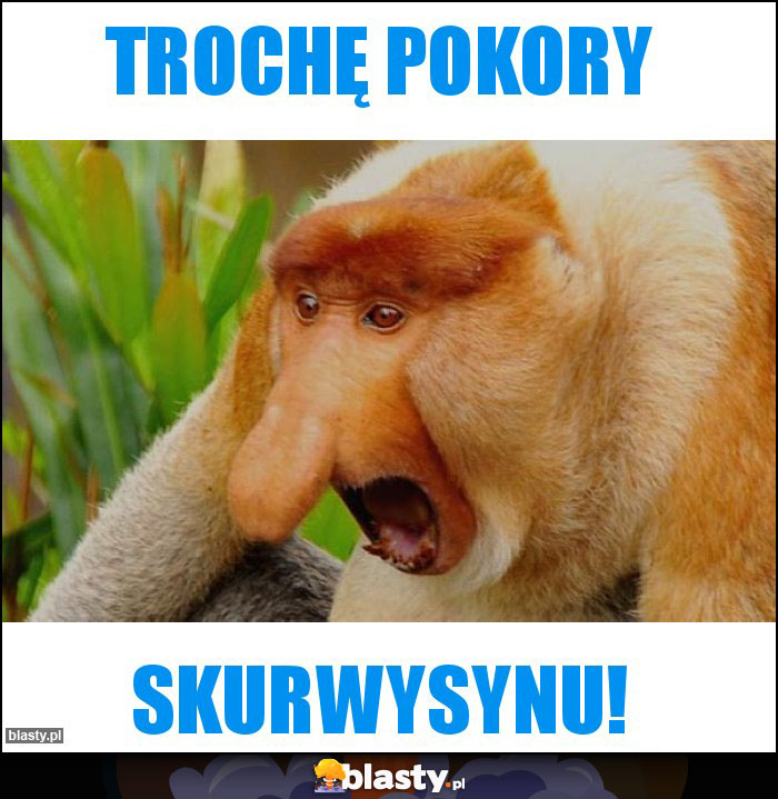 Trochę pokory Trochę pokory