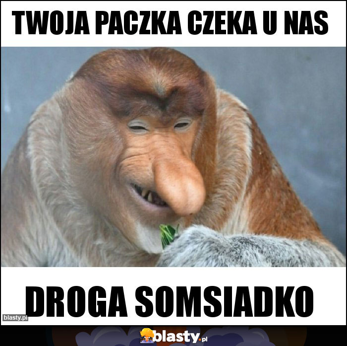 Twoja paczka czeka u nas Twoja paczka czeka u nas