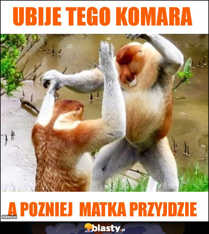 Ubije tego komara Ubije tego komara