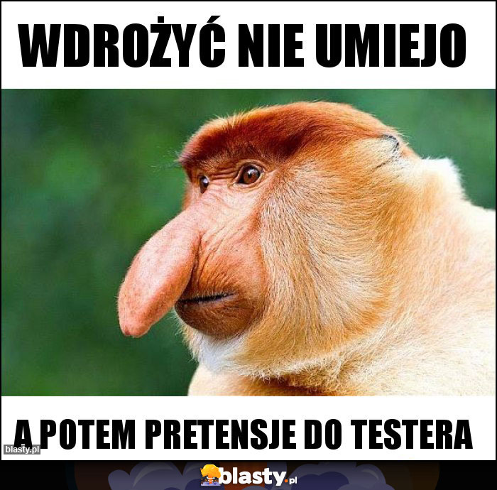 WDROŻYĆ NIE UMIEJO