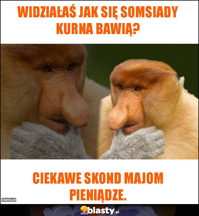 Widziałaś jak się Somsiady kurna bawią? Widziałaś jak się Somsiady kurna bawią?
