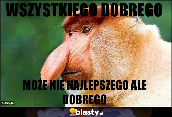 Wszystkiego dobrego Wszystkiego dobrego