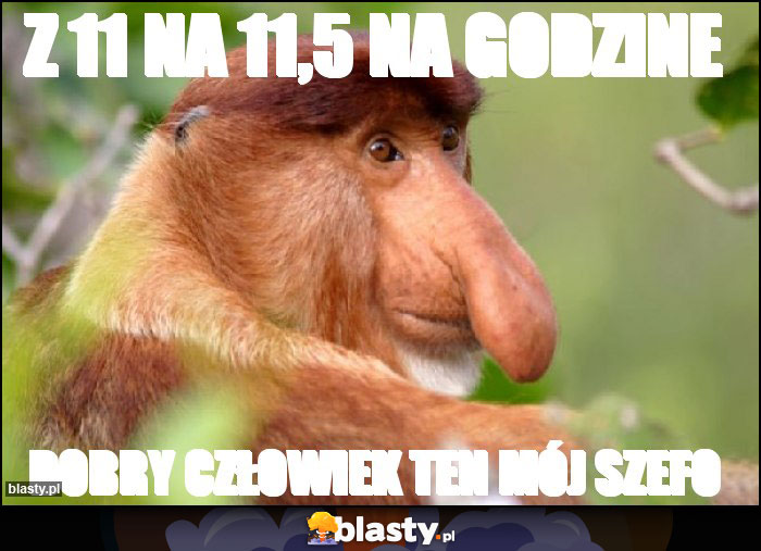 Z 11 na 11,5 na godzine