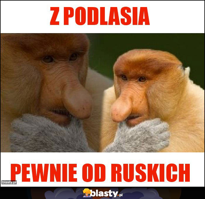 Z PODLASIA Z PODLASIA
