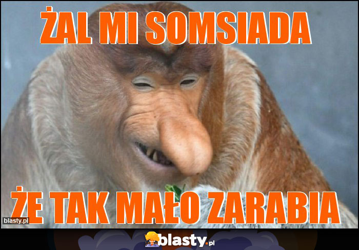 ŻAL MI SOMSIADA ŻAL MI SOMSIADA