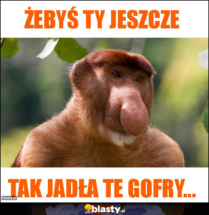 Żebyś Ty jeszcze Żebyś Ty jeszcze