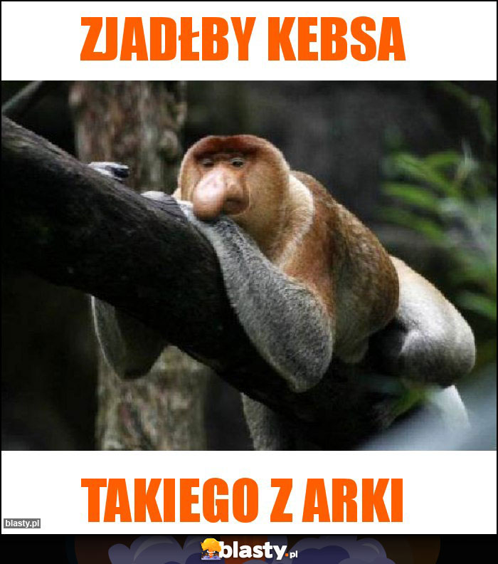 Zjadłby kebsa Zjadłby kebsa