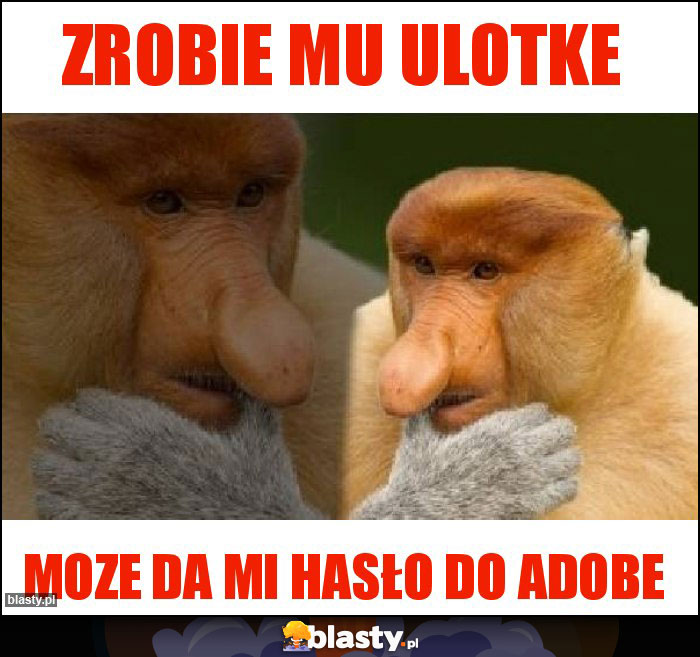 ZROBIE MU ULOTKE ZROBIE MU ULOTKE