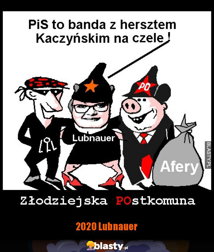 2020 Lubnauer 2020 Lubnauer