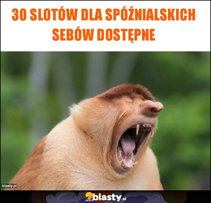 30 slotów dla Spóźnialskich Sebów dostępne 30 slotów dla Spóźnialskich Sebów dostępne