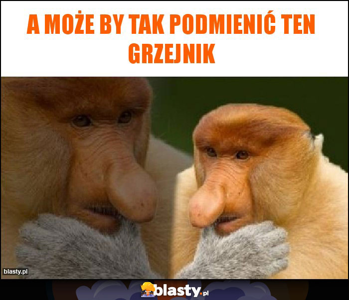 A może by tak podmienić ten grzejnik A może by tak podmienić ten grzejnik