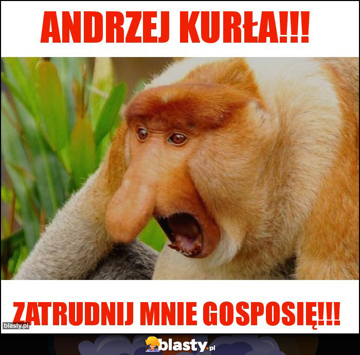 Andrzej kurła!!! Andrzej kurła!!!