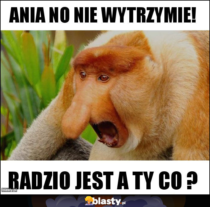 Ania no nie wytrzymie! Ania no nie wytrzymie!