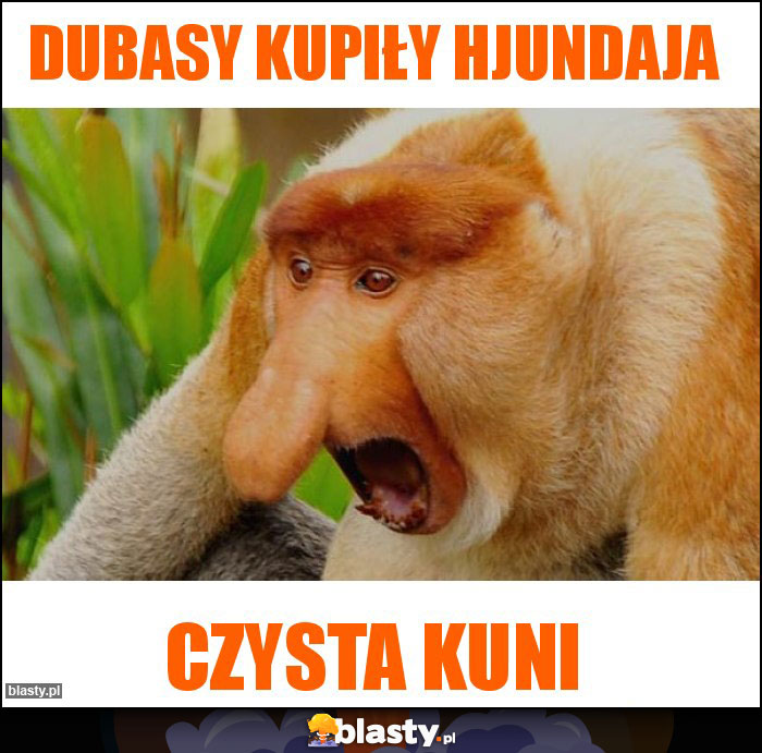 Dubasy kupiły Hjundaja Dubasy kupiły Hjundaja