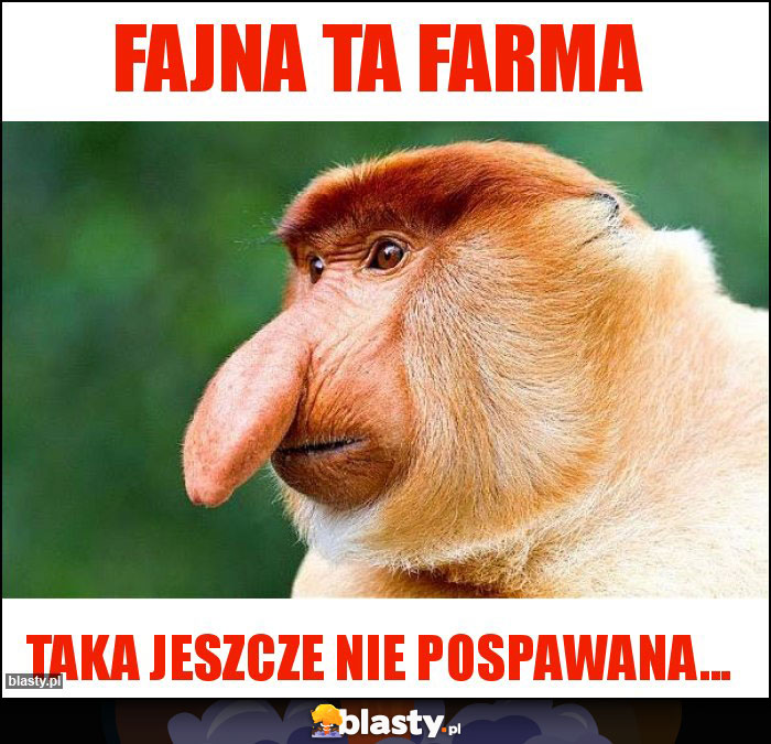 Fajna ta Farma Fajna ta Farma