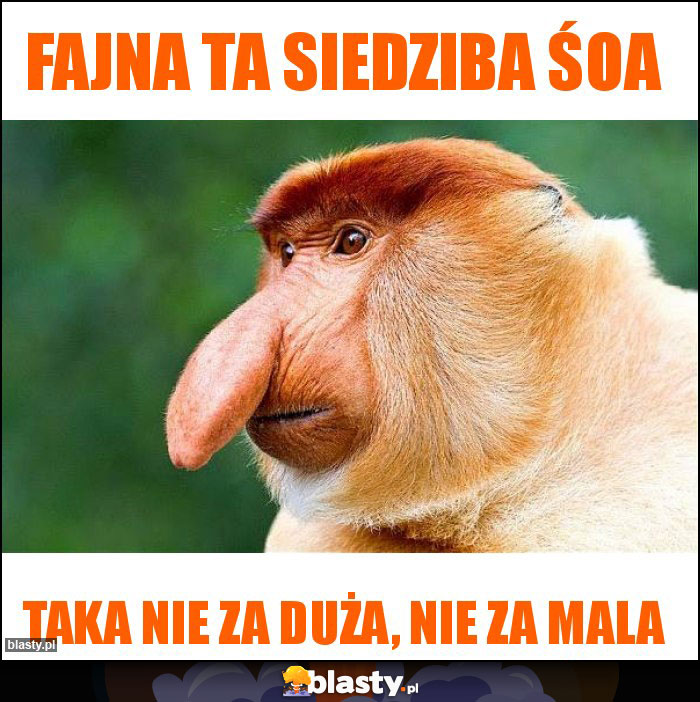 Fajna ta siedziba ŚOA Fajna ta siedziba ŚOA