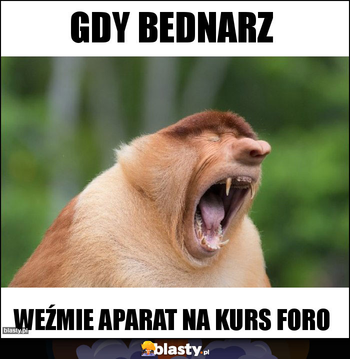 Gdy Bednarz Gdy Bednarz