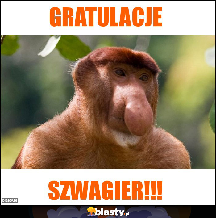 GRATULACJE GRATULACJE