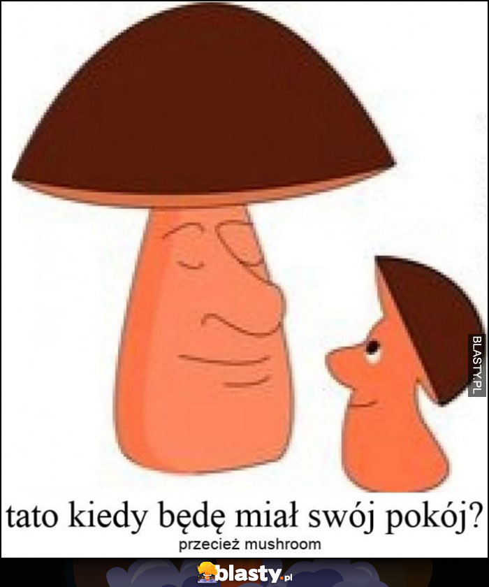 Grzyby: tato kiedy będę miał swój pokój? Przecież mushroom