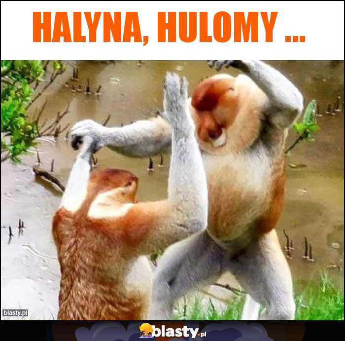 Halyna, hulomy ... Halyna, hulomy ...