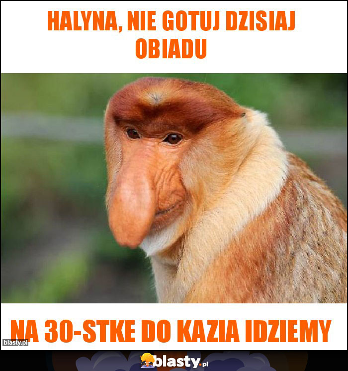 Halyna, nie gotuj dzisiaj obiadu Halyna, nie gotuj dzisiaj obiadu