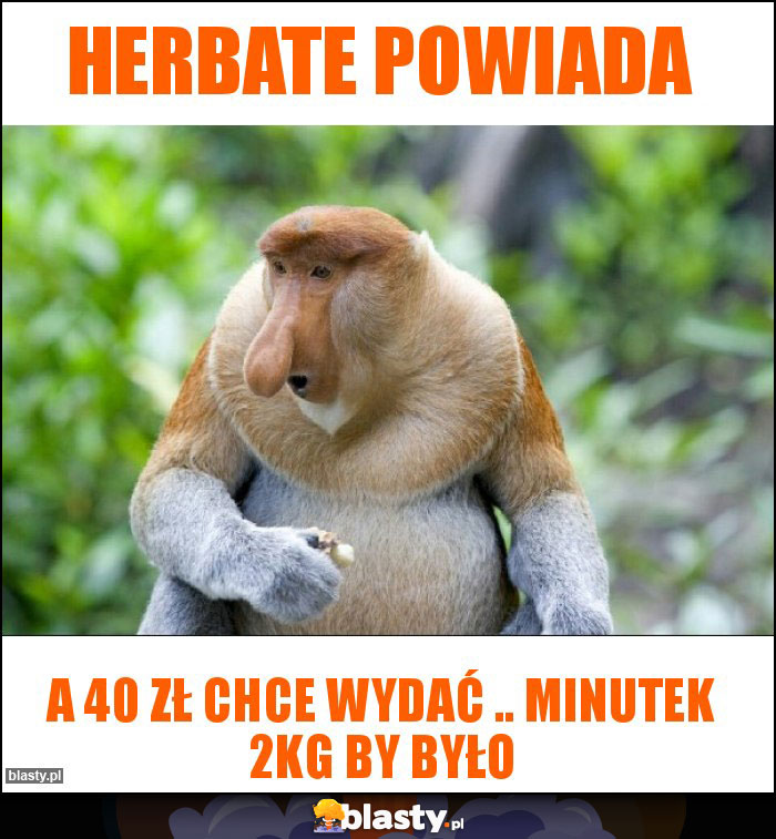Herbate powiada Herbate powiada