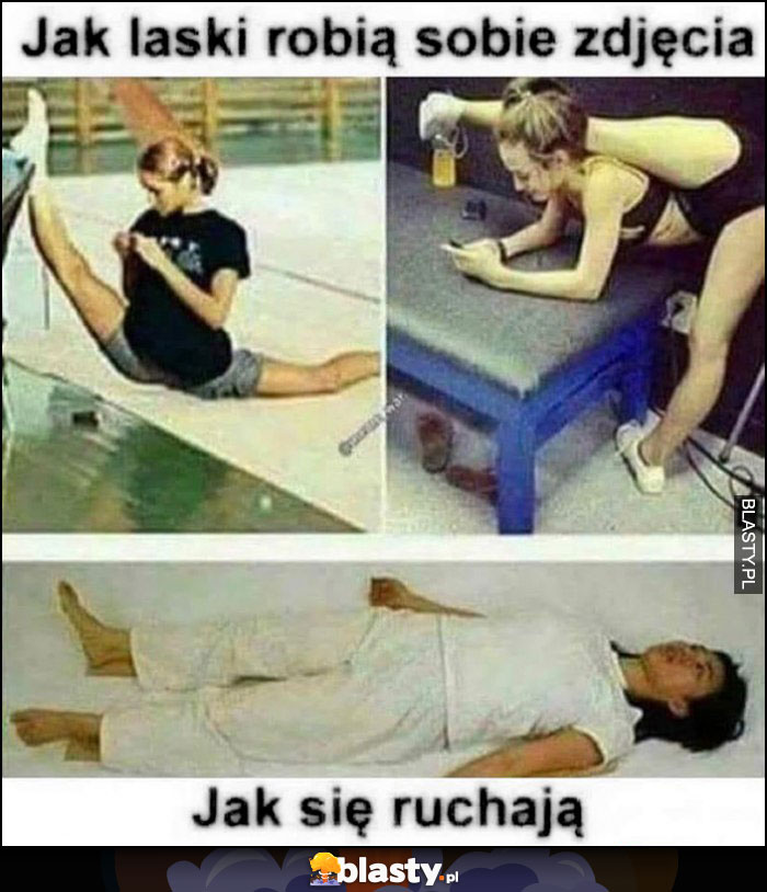 Jak laski robią sobie zdjęcia vs jak się ruszają