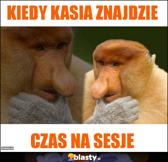 kiedy kasia znajdzie kiedy kasia znajdzie