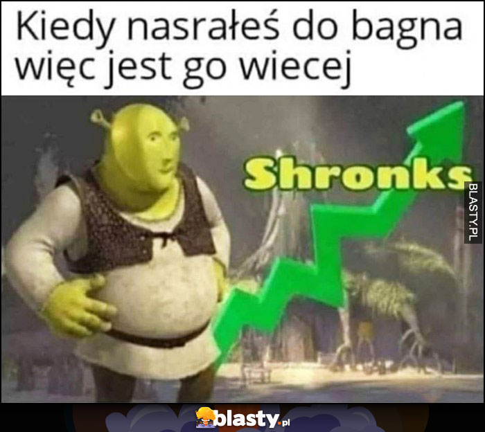 Kiedy nasrałeś do bagna więc jest go więcej Shrek Stonks Shronks