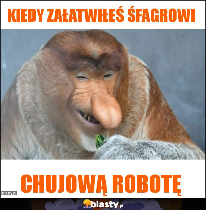 Kiedy załatwiłeś śfagrowi Kiedy załatwiłeś śfagrowi