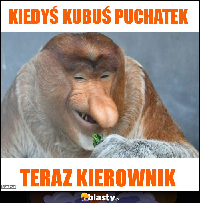 Kiedyś Kubuś puchatek Kiedyś Kubuś puchatek