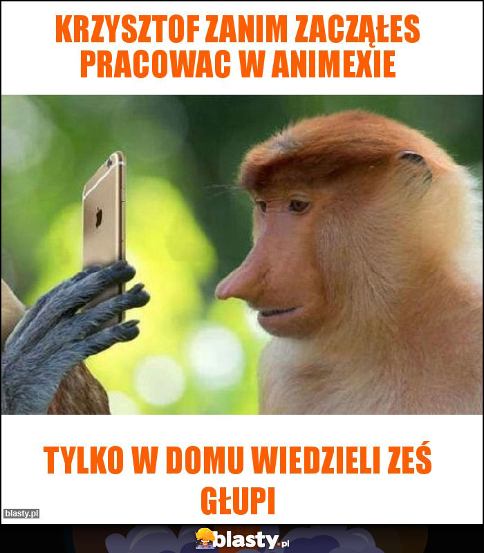Krzysztof zanim zacząłes pracowac w animexie Krzysztof zanim zacząłes pracowac w animexie