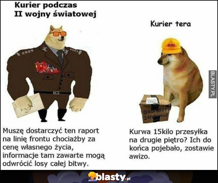 Kurier podczas II wojny światowej vs kurier teraz porównanie pieseł doge