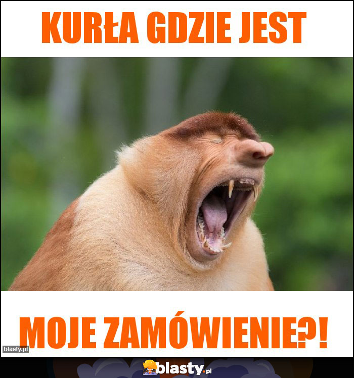 Kurła gdzie jest Kurła gdzie jest