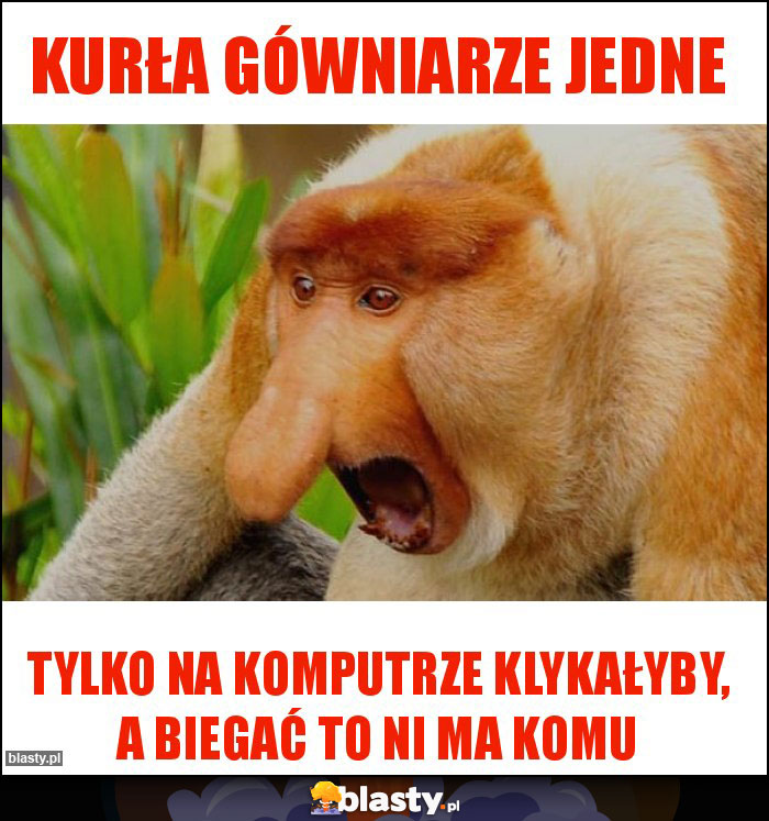 Kurła gówniarze jedne Kurła gówniarze jedne