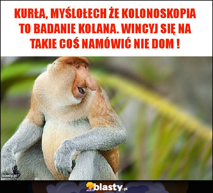 Kurła, myślołech że kolonoskopia to badanie kolana. wincyj się na takie coś namówić nie dom ! Kurła, myślołech że kolonoskopia to badanie kolana. wincyj się na takie coś namówić nie dom !