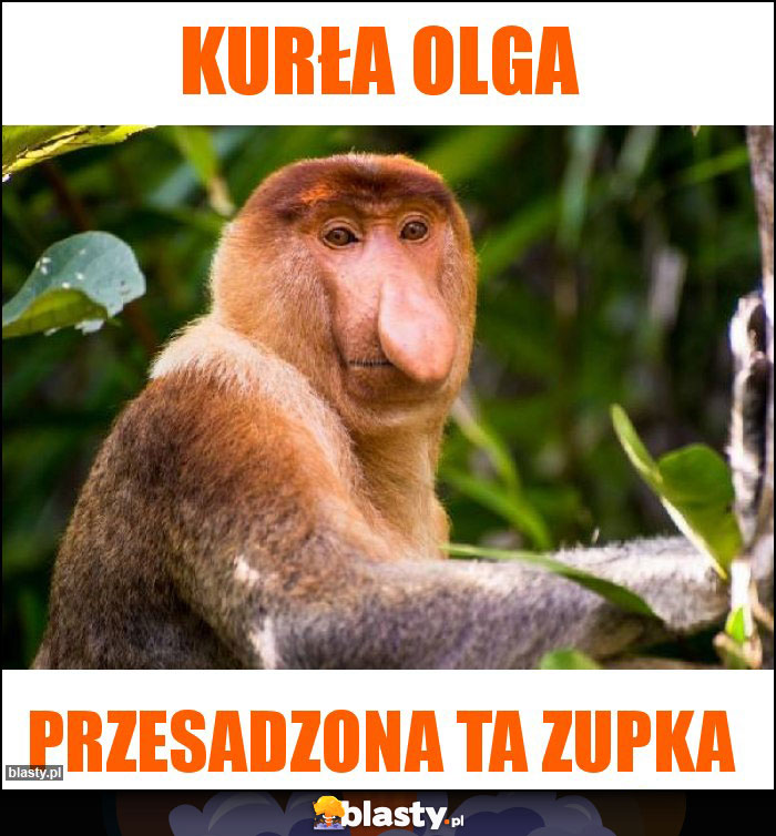 Kurła Olga Kurła Olga