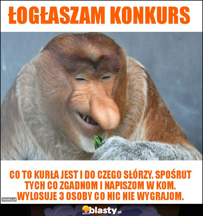 ŁOGŁASZAM KONKURS ŁOGŁASZAM KONKURS