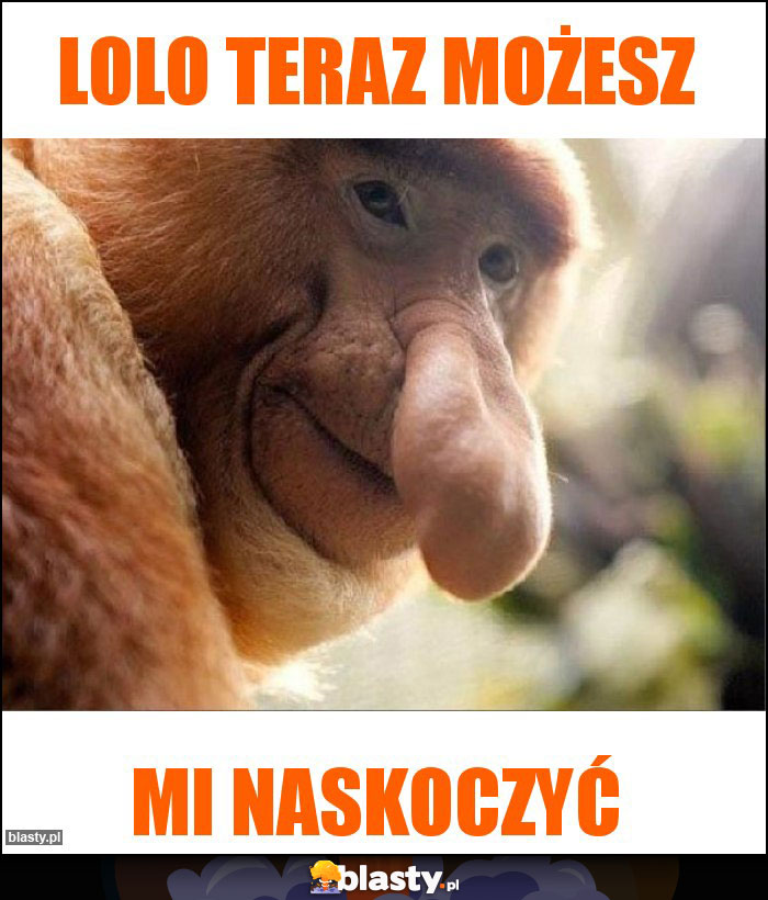 Lolo teraz możesz Lolo teraz możesz